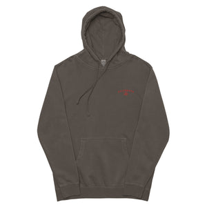 Celebrate Life Collection Hoodie